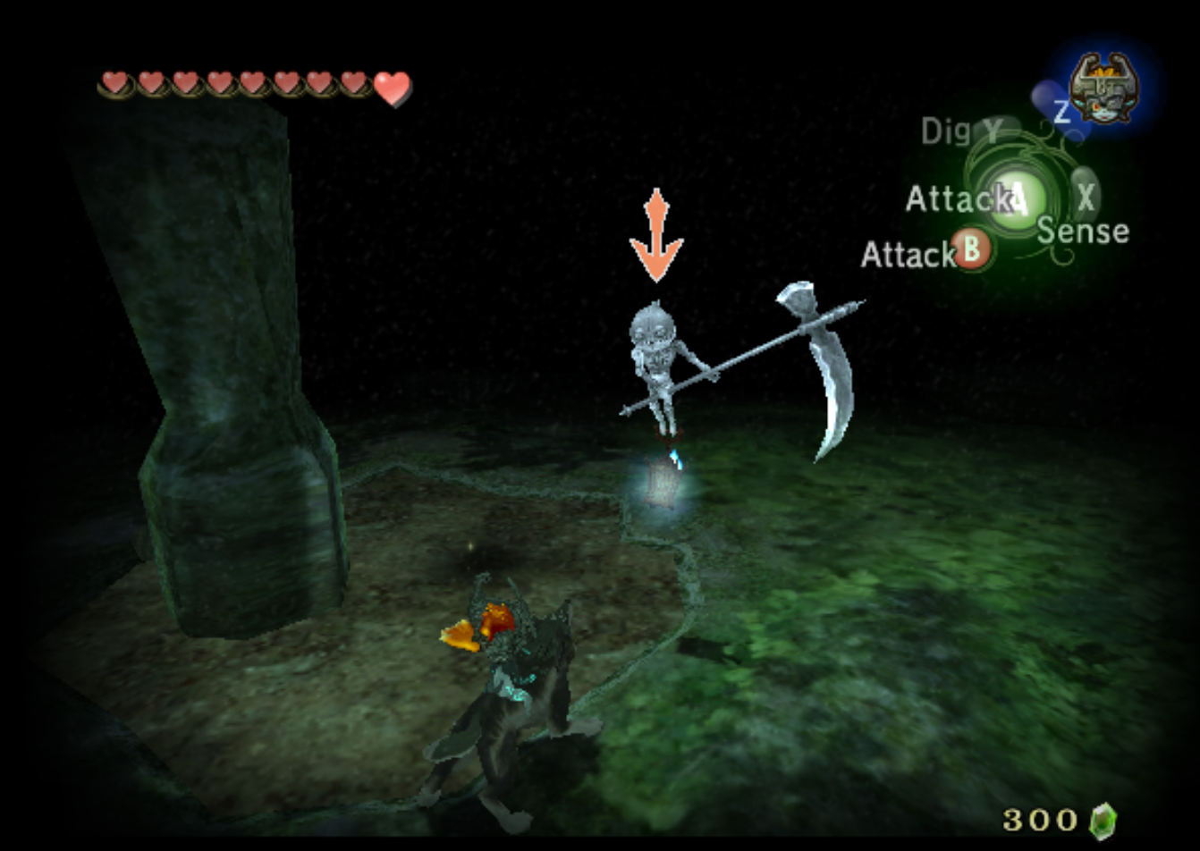 Twilight Princess Faron Province Poe Locations